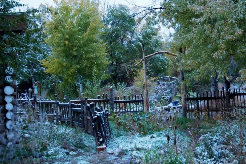 Taos Goji Farm & Eco-Lodge Retreat Arroyo Seco Exteriér fotografie