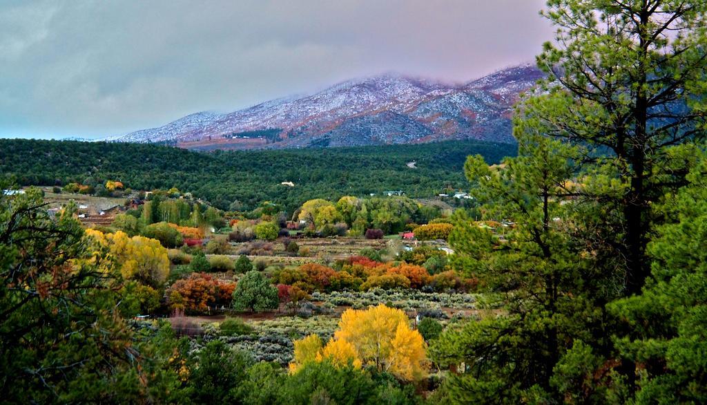 Taos Goji Farm & Eco-Lodge Retreat Arroyo Seco Exteriér fotografie